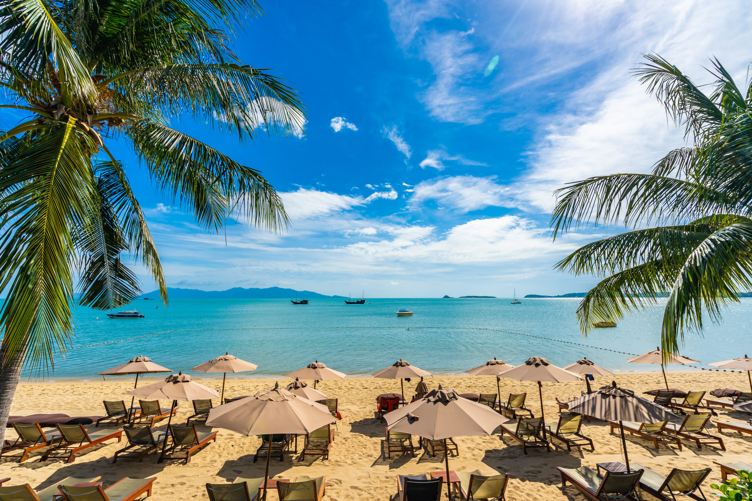 Beautiful tropical beach sea and ocean with coconut palm tree and umbrella and chair on blue sky and white cloud for holiday vacation travel