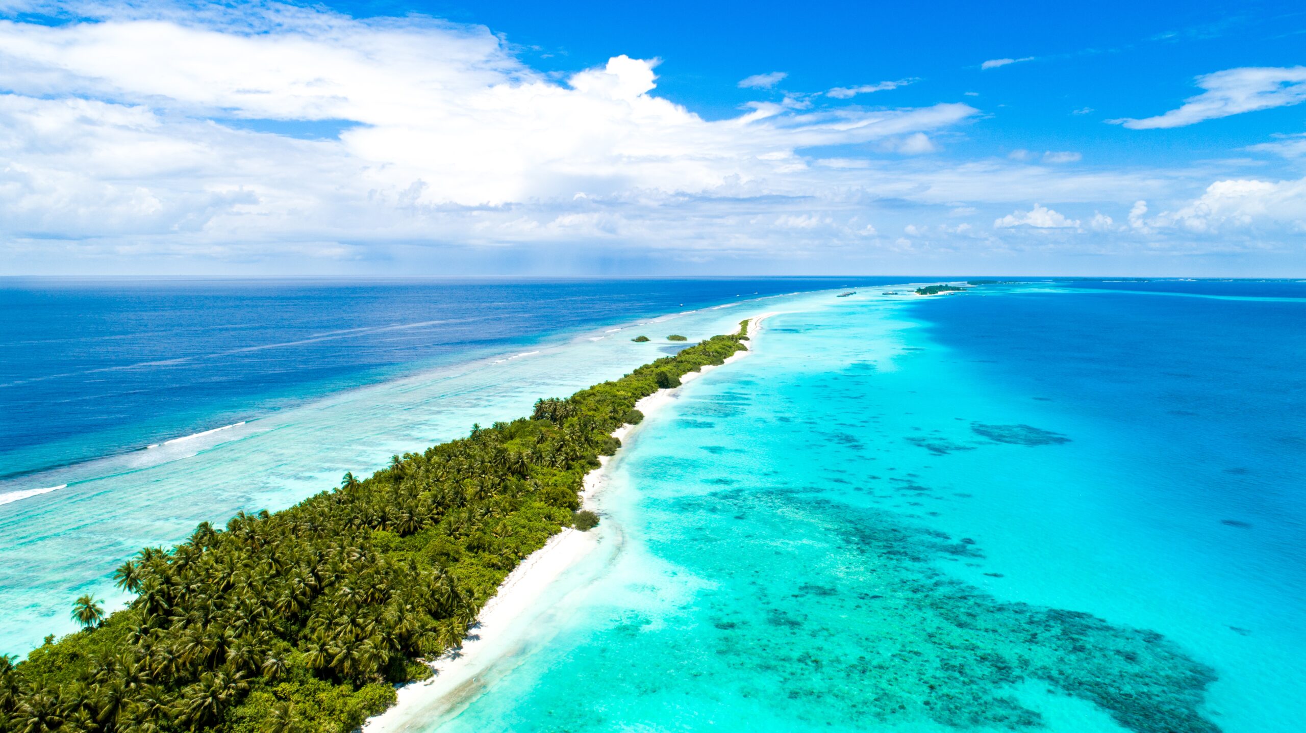 zanzibar cosa fare e vedere