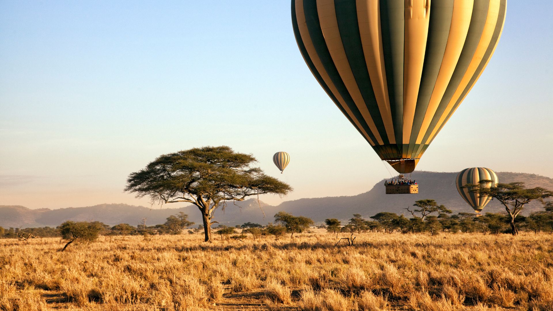 parco serengeti mongolfiera