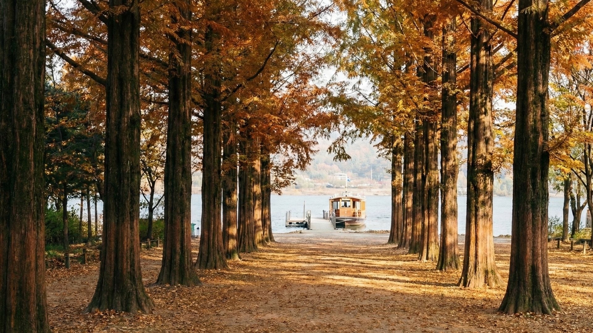 nami island corea del sud
