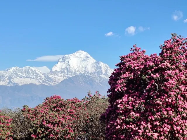 Viaggio su misura in Nepal con Rewave